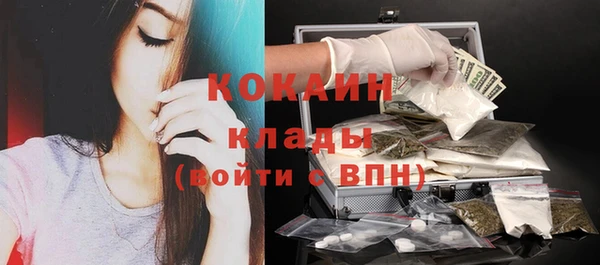 крисы Арсеньев