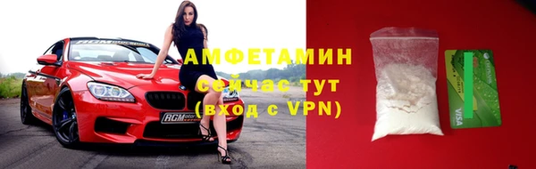 дмт Пересвет