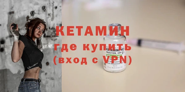 дмт Пересвет