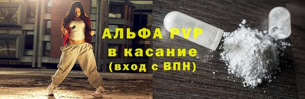 дмт Пересвет