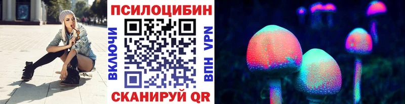 Псилоцибиновые грибы Cubensis  Сокол 