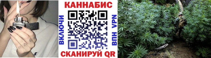 дарнет шоп  Сокол  Бошки Шишки VHQ 